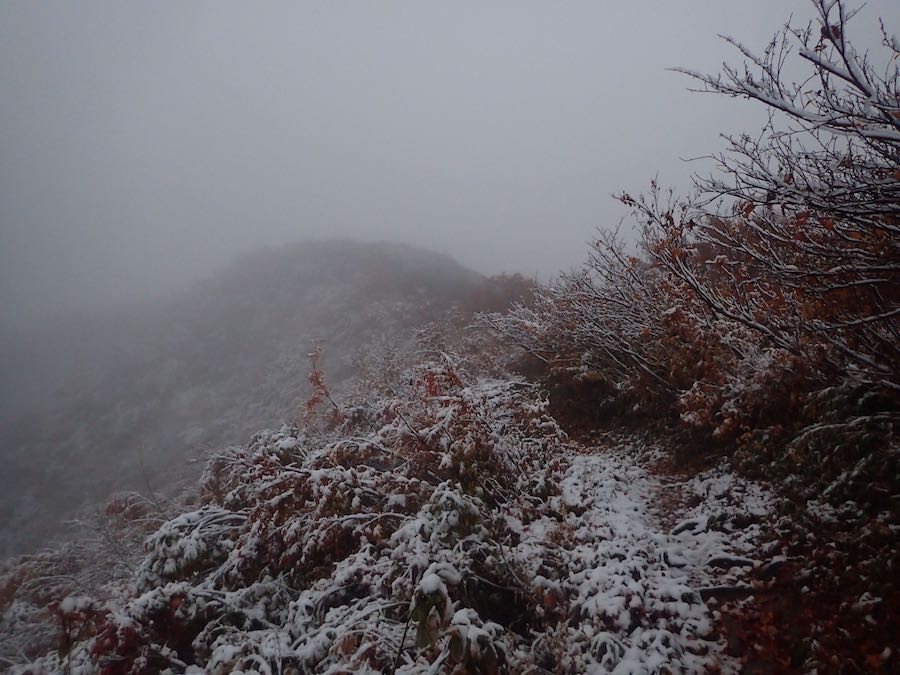 雪が出て来た　午前5時45分